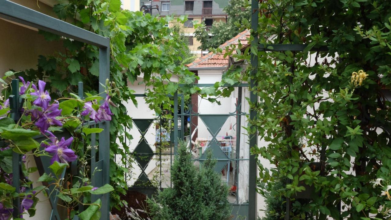 Kompleks Apartmana Superstar23A Soko Banja Esterno foto