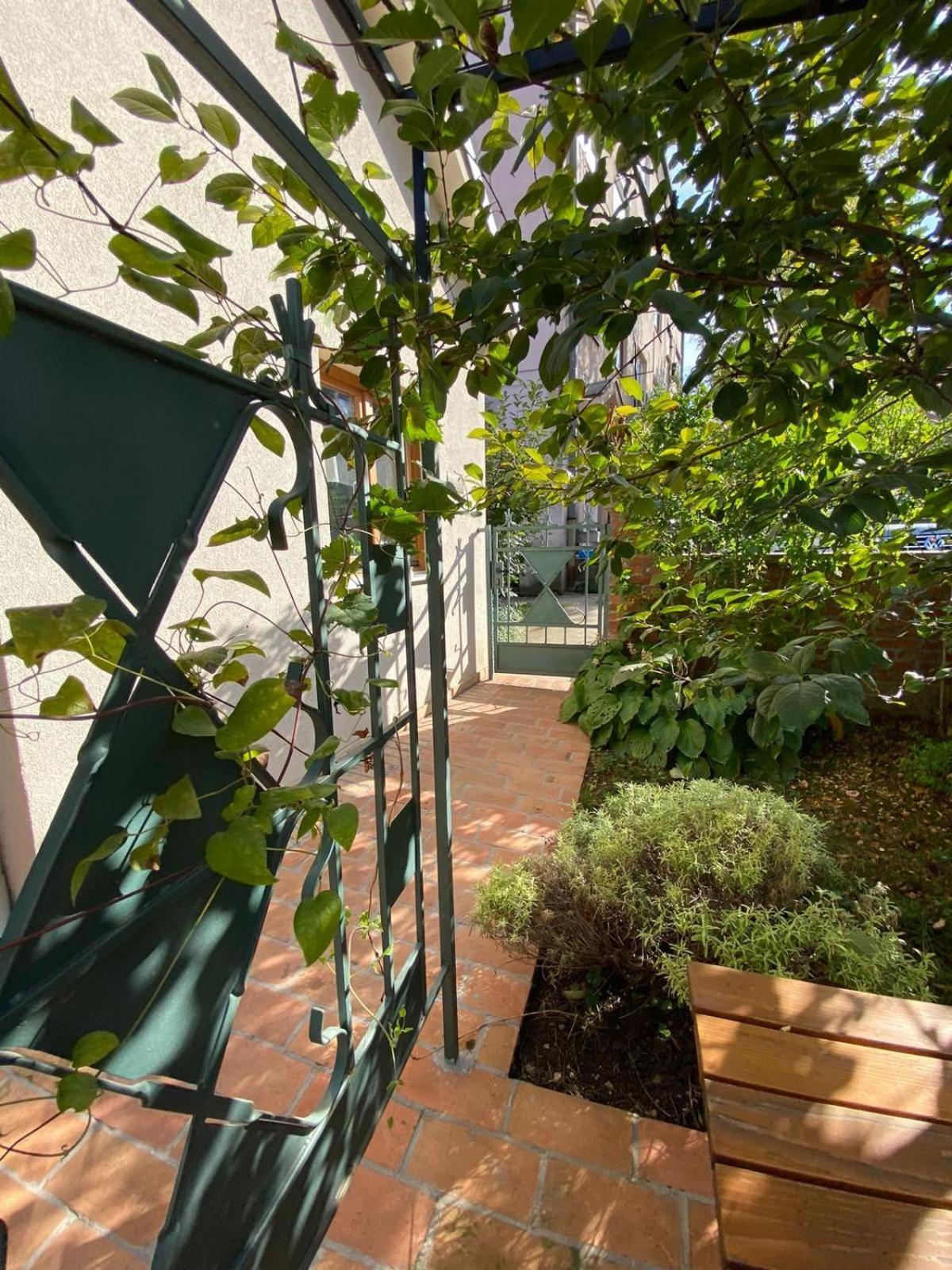 Kompleks Apartmana Superstar23A Soko Banja Esterno foto
