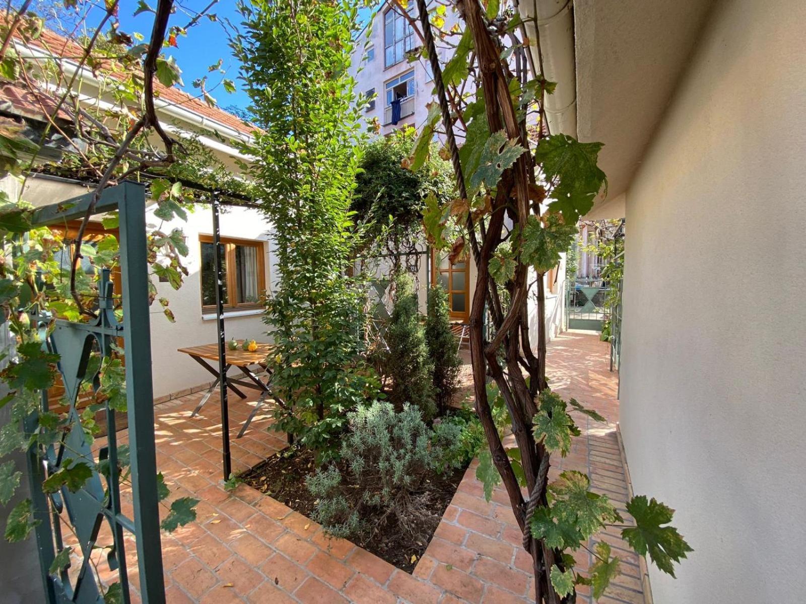 Kompleks Apartmana Superstar23A Soko Banja Esterno foto